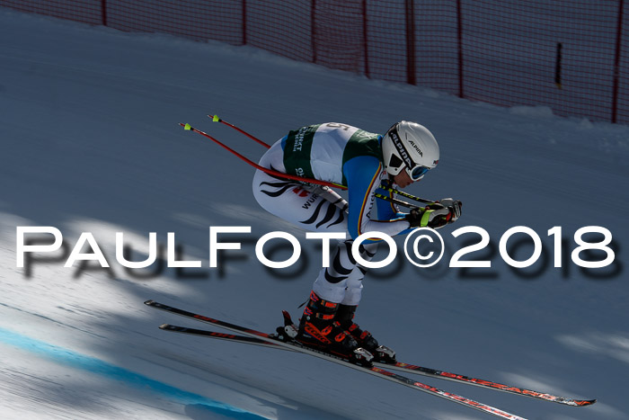 FIS, Int. Dt. Meisterschaft Abfahrt, Training, NC, NJC Damen + Herren, 22.03.2018