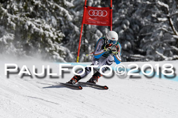 FIS, Int. Dt. Meisterschaft Abfahrt, Training, NC, NJC Damen + Herren, 22.03.2018