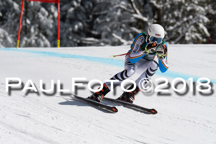 FIS, Int. Dt. Meisterschaft Abfahrt, Training, NC, NJC Damen + Herren, 22.03.2018