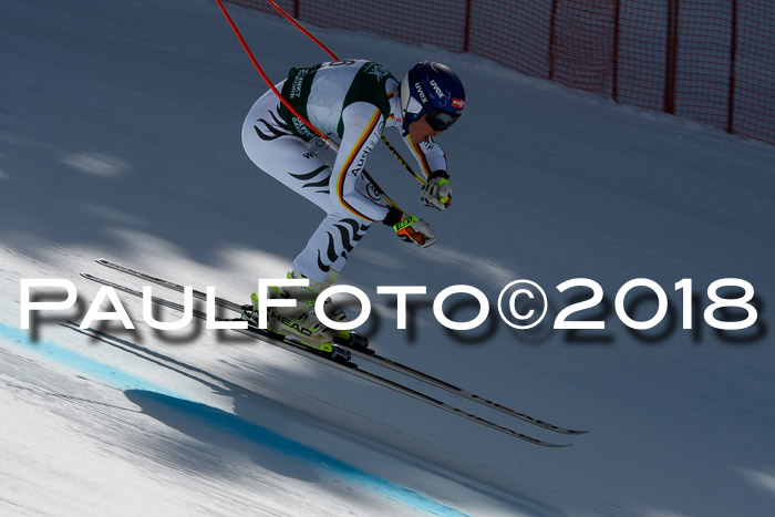 FIS, Int. Dt. Meisterschaft Abfahrt, Training, NC, NJC Damen + Herren, 22.03.2018