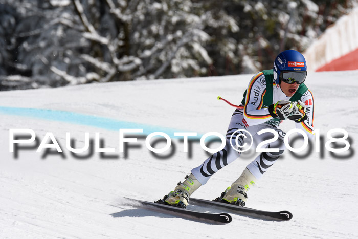FIS, Int. Dt. Meisterschaft Abfahrt, Training, NC, NJC Damen + Herren, 22.03.2018