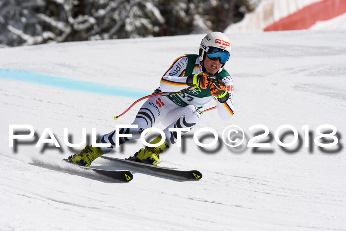 FIS, Int. Dt. Meisterschaft Abfahrt, Training, NC, NJC Damen + Herren, 22.03.2018