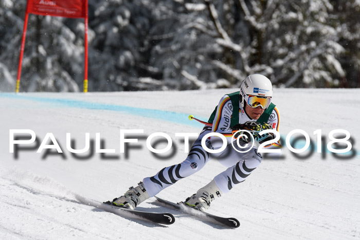 FIS, Int. Dt. Meisterschaft Abfahrt, Training, NC, NJC Damen + Herren, 22.03.2018
