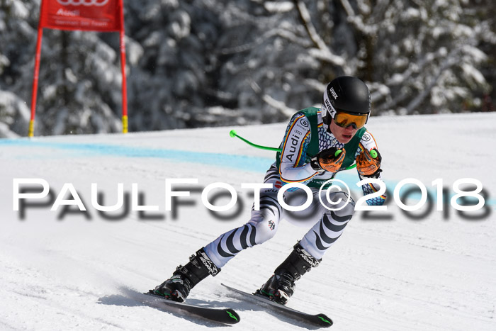 FIS, Int. Dt. Meisterschaft Abfahrt, Training, NC, NJC Damen + Herren, 22.03.2018