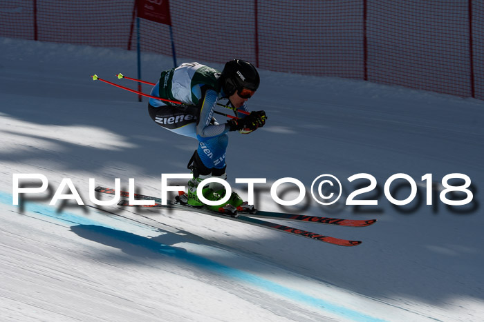 FIS, Int. Dt. Meisterschaft Abfahrt, Training, NC, NJC Damen + Herren, 22.03.2018