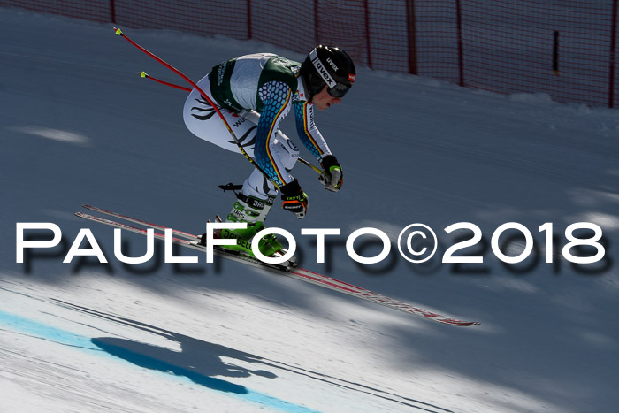 FIS, Int. Dt. Meisterschaft Abfahrt, Training, NC, NJC Damen + Herren, 22.03.2018