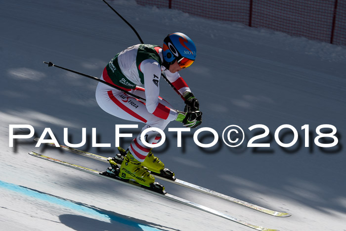 FIS, Int. Dt. Meisterschaft Abfahrt, Training, NC, NJC Damen + Herren, 22.03.2018