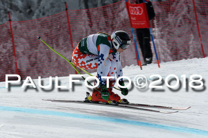 FIS, Int. Dt. Meisterschaft Abfahrt, Training, NC, NJC Damen + Herren, 22.03.2018