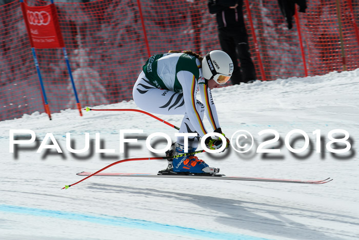 FIS, Int. Dt. Meisterschaft Abfahrt, Training, NC, NJC Damen + Herren, 22.03.2018