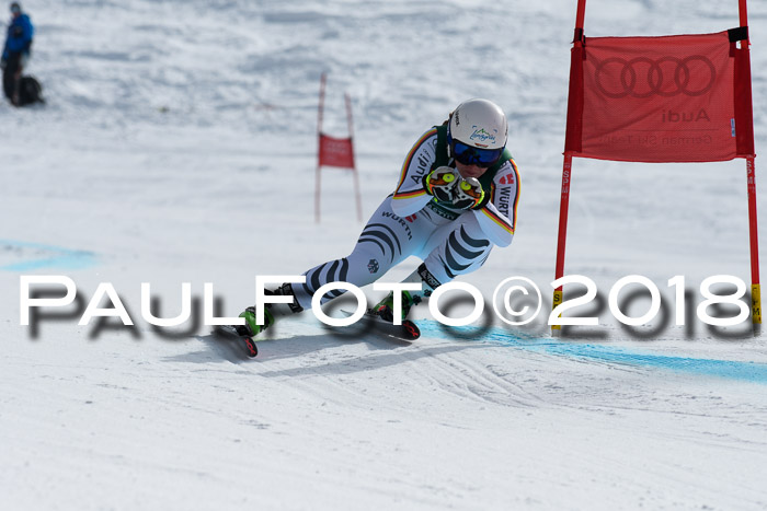 FIS, Int. Dt. Meisterschaft Abfahrt, Training, NC, NJC Damen + Herren, 22.03.2018
