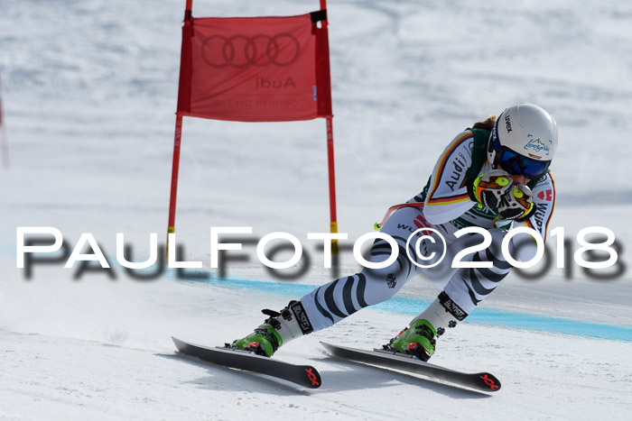 FIS, Int. Dt. Meisterschaft Abfahrt, Training, NC, NJC Damen + Herren, 22.03.2018