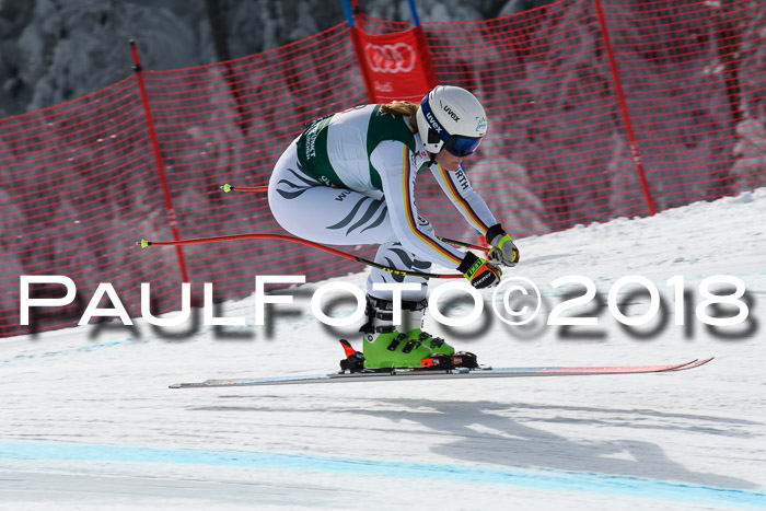 FIS, Int. Dt. Meisterschaft Abfahrt, Training, NC, NJC Damen + Herren, 22.03.2018