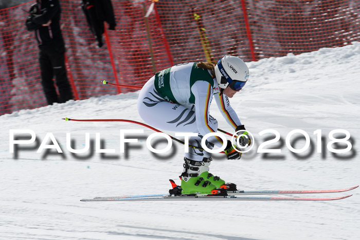 FIS, Int. Dt. Meisterschaft Abfahrt, Training, NC, NJC Damen + Herren, 22.03.2018