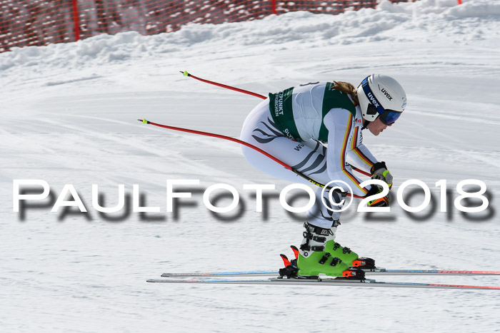 FIS, Int. Dt. Meisterschaft Abfahrt, Training, NC, NJC Damen + Herren, 22.03.2018