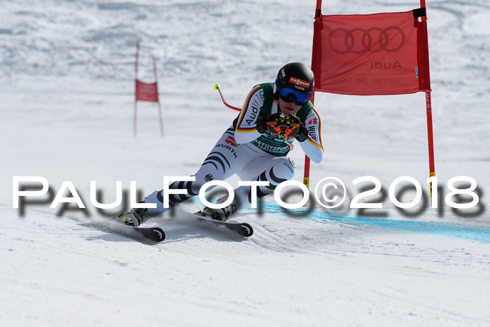 FIS, Int. Dt. Meisterschaft Abfahrt, Training, NC, NJC Damen + Herren, 22.03.2018