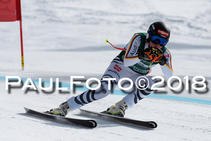 FIS, Int. Dt. Meisterschaft Abfahrt, Training, NC, NJC Damen + Herren, 22.03.2018