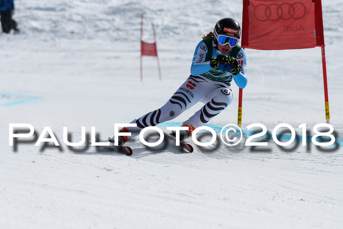 FIS, Int. Dt. Meisterschaft Abfahrt, Training, NC, NJC Damen + Herren, 22.03.2018