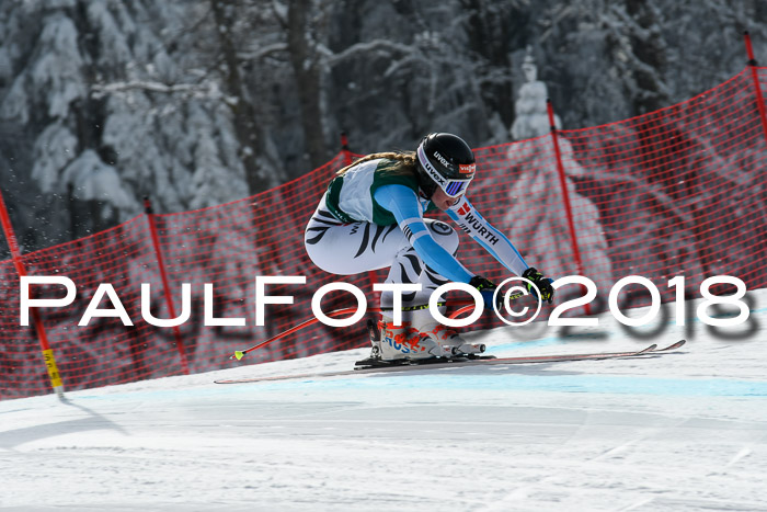 FIS, Int. Dt. Meisterschaft Abfahrt, Training, NC, NJC Damen + Herren, 22.03.2018