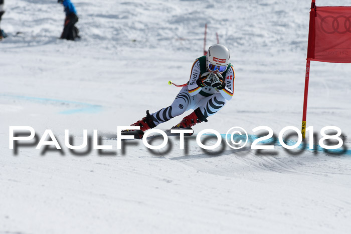 FIS, Int. Dt. Meisterschaft Abfahrt, Training, NC, NJC Damen + Herren, 22.03.2018