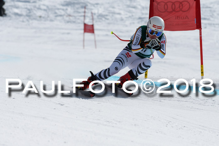FIS, Int. Dt. Meisterschaft Abfahrt, Training, NC, NJC Damen + Herren, 22.03.2018