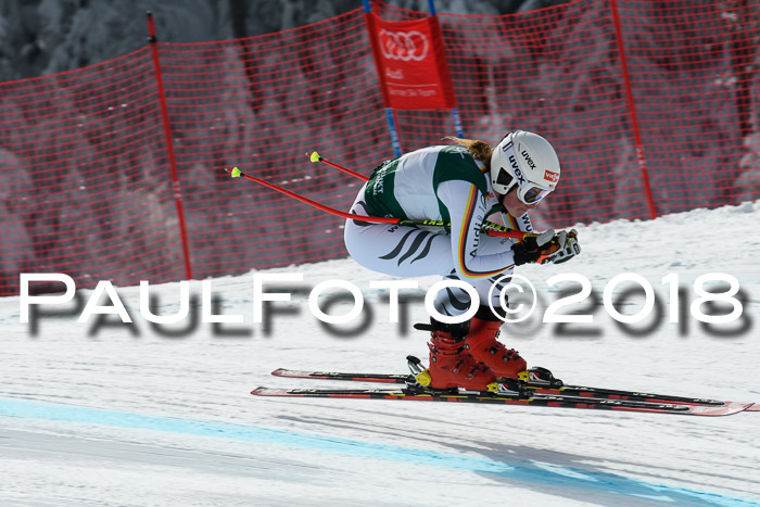 FIS, Int. Dt. Meisterschaft Abfahrt, Training, NC, NJC Damen + Herren, 22.03.2018