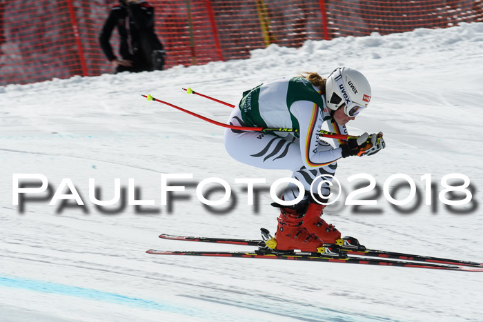 FIS, Int. Dt. Meisterschaft Abfahrt, Training, NC, NJC Damen + Herren, 22.03.2018