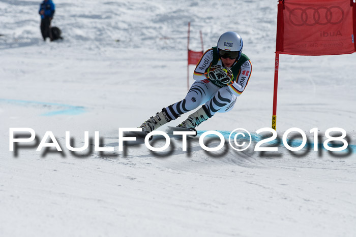 FIS, Int. Dt. Meisterschaft Abfahrt, Training, NC, NJC Damen + Herren, 22.03.2018