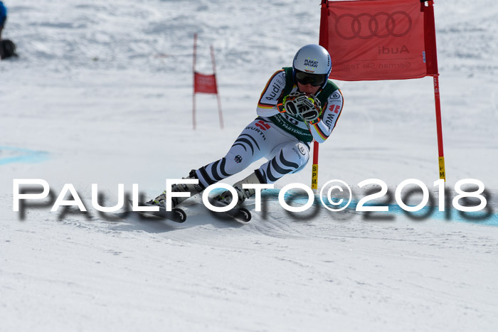 FIS, Int. Dt. Meisterschaft Abfahrt, Training, NC, NJC Damen + Herren, 22.03.2018