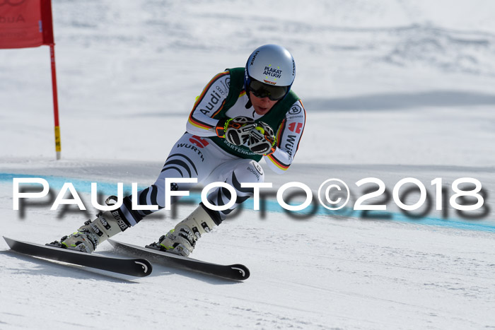 FIS, Int. Dt. Meisterschaft Abfahrt, Training, NC, NJC Damen + Herren, 22.03.2018