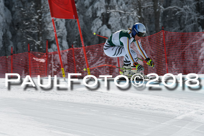 FIS, Int. Dt. Meisterschaft Abfahrt, Training, NC, NJC Damen + Herren, 22.03.2018