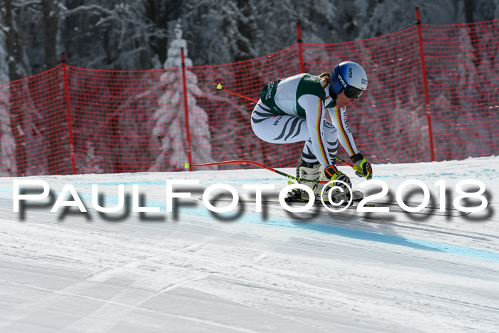 FIS, Int. Dt. Meisterschaft Abfahrt, Training, NC, NJC Damen + Herren, 22.03.2018