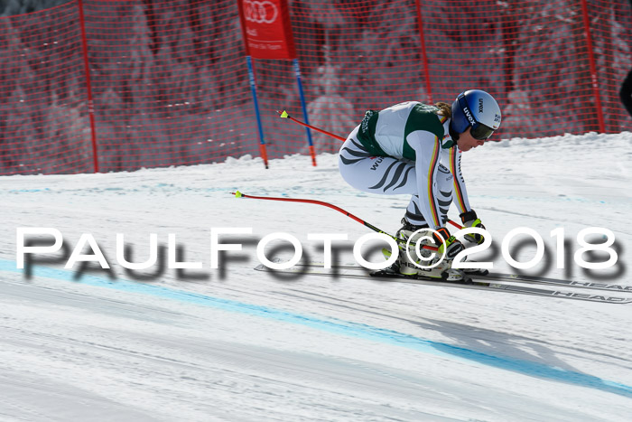 FIS, Int. Dt. Meisterschaft Abfahrt, Training, NC, NJC Damen + Herren, 22.03.2018