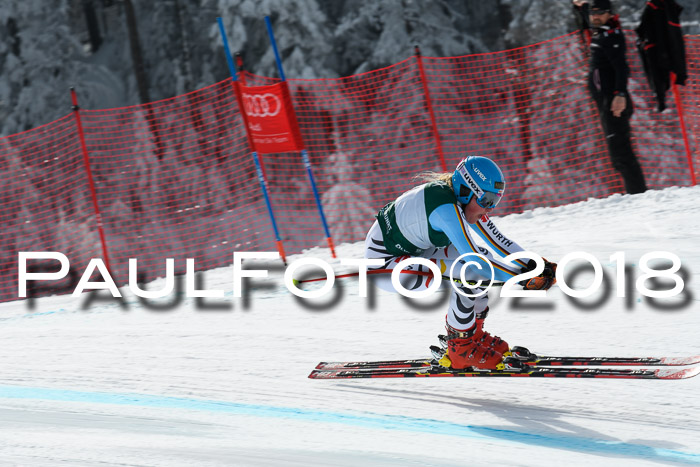 FIS, Int. Dt. Meisterschaft Abfahrt, Training, NC, NJC Damen + Herren, 22.03.2018