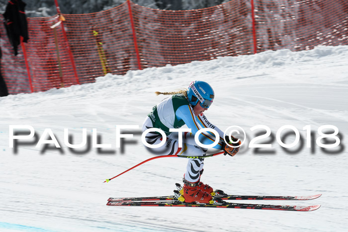 FIS, Int. Dt. Meisterschaft Abfahrt, Training, NC, NJC Damen + Herren, 22.03.2018