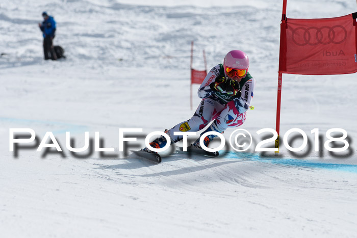 FIS, Int. Dt. Meisterschaft Abfahrt, Training, NC, NJC Damen + Herren, 22.03.2018