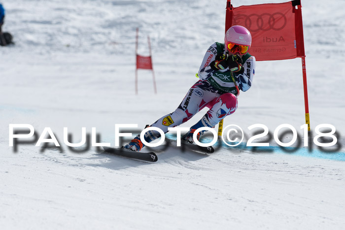 FIS, Int. Dt. Meisterschaft Abfahrt, Training, NC, NJC Damen + Herren, 22.03.2018