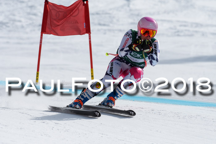 FIS, Int. Dt. Meisterschaft Abfahrt, Training, NC, NJC Damen + Herren, 22.03.2018