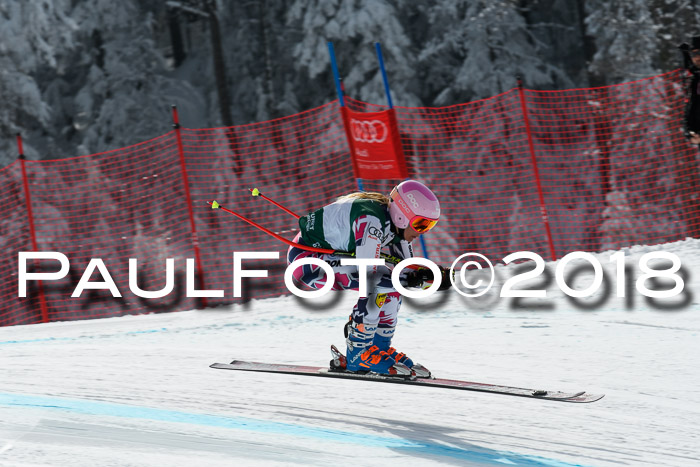 FIS, Int. Dt. Meisterschaft Abfahrt, Training, NC, NJC Damen + Herren, 22.03.2018