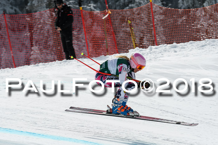FIS, Int. Dt. Meisterschaft Abfahrt, Training, NC, NJC Damen + Herren, 22.03.2018
