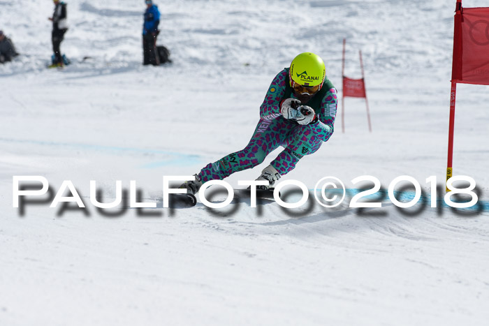FIS, Int. Dt. Meisterschaft Abfahrt, Training, NC, NJC Damen + Herren, 22.03.2018