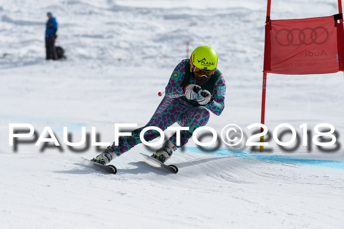 FIS, Int. Dt. Meisterschaft Abfahrt, Training, NC, NJC Damen + Herren, 22.03.2018