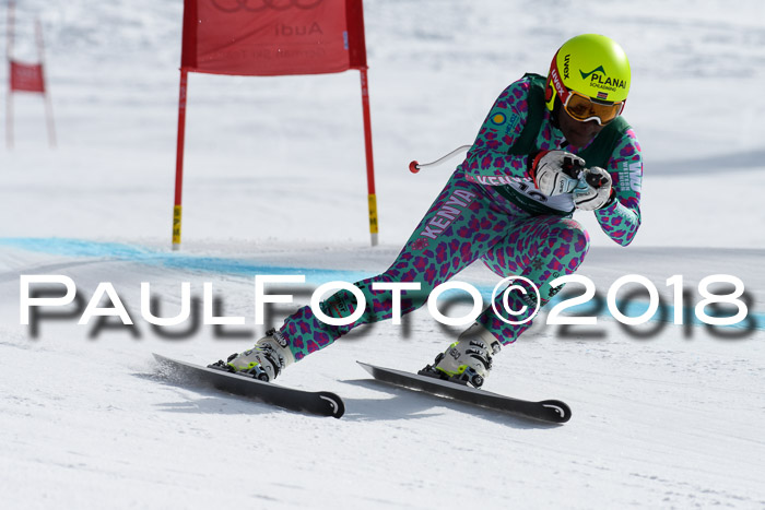 FIS, Int. Dt. Meisterschaft Abfahrt, Training, NC, NJC Damen + Herren, 22.03.2018