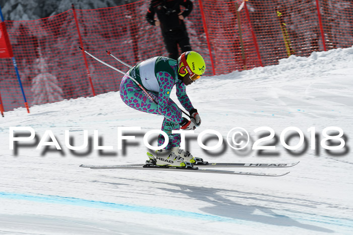 FIS, Int. Dt. Meisterschaft Abfahrt, Training, NC, NJC Damen + Herren, 22.03.2018