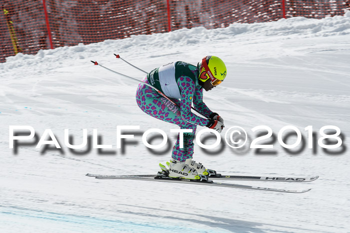 FIS, Int. Dt. Meisterschaft Abfahrt, Training, NC, NJC Damen + Herren, 22.03.2018