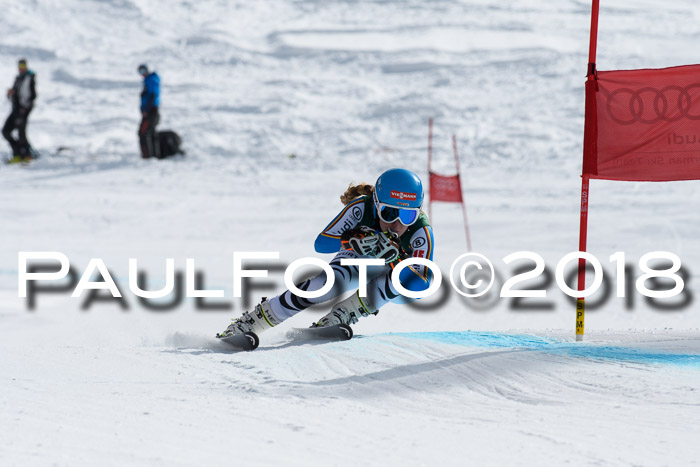 FIS, Int. Dt. Meisterschaft Abfahrt, Training, NC, NJC Damen + Herren, 22.03.2018