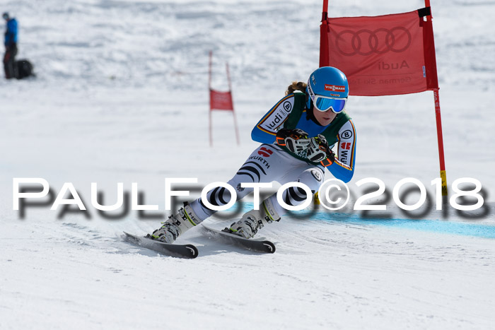 FIS, Int. Dt. Meisterschaft Abfahrt, Training, NC, NJC Damen + Herren, 22.03.2018