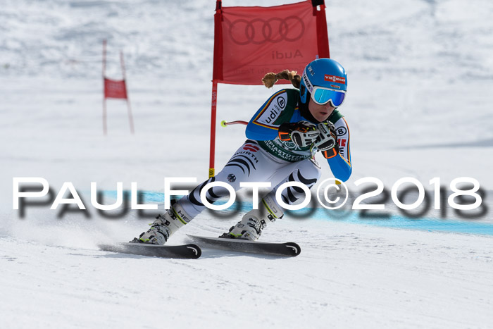 FIS, Int. Dt. Meisterschaft Abfahrt, Training, NC, NJC Damen + Herren, 22.03.2018