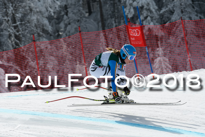 FIS, Int. Dt. Meisterschaft Abfahrt, Training, NC, NJC Damen + Herren, 22.03.2018