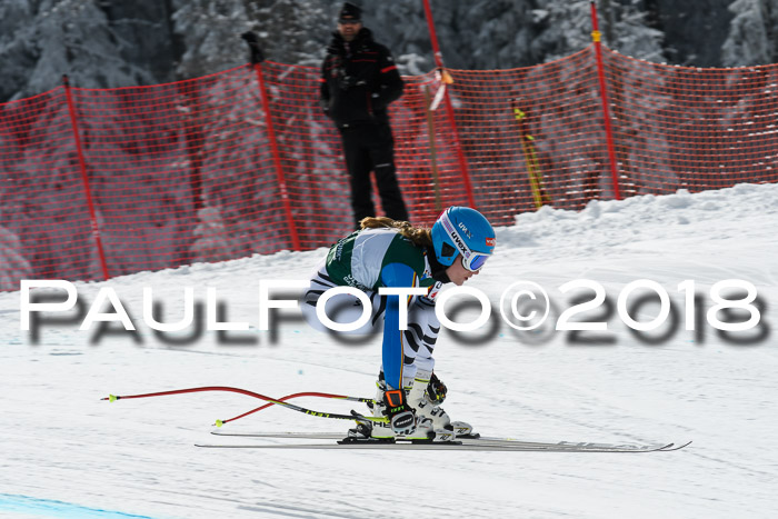 FIS, Int. Dt. Meisterschaft Abfahrt, Training, NC, NJC Damen + Herren, 22.03.2018