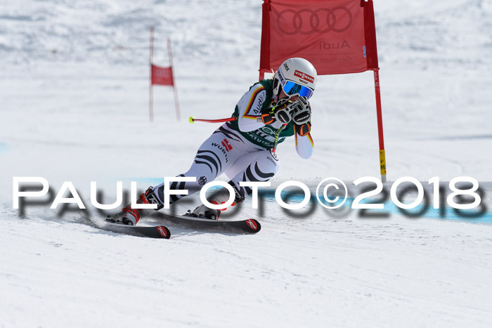 FIS, Int. Dt. Meisterschaft Abfahrt, Training, NC, NJC Damen + Herren, 22.03.2018
